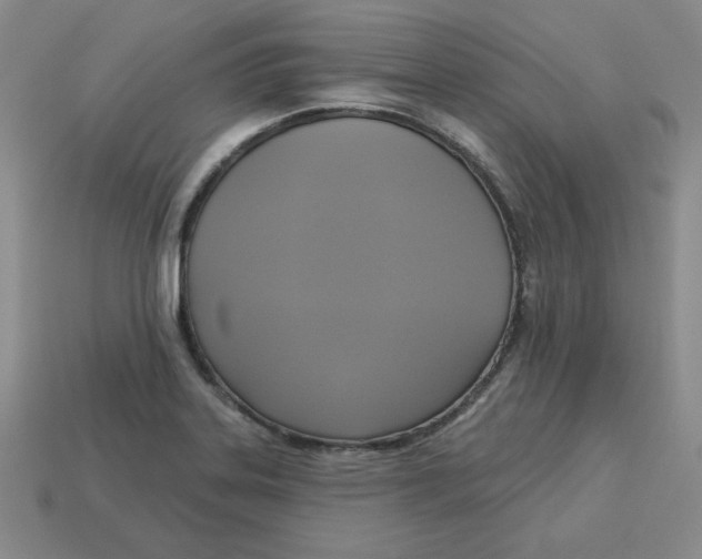 X0000113301323200910131039