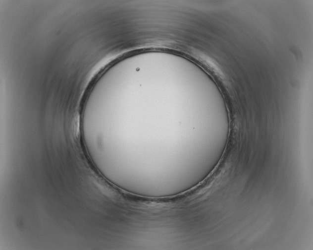 X0000113301324200910131039