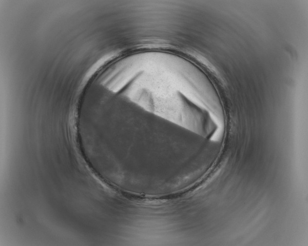 X0000113301325200910131039