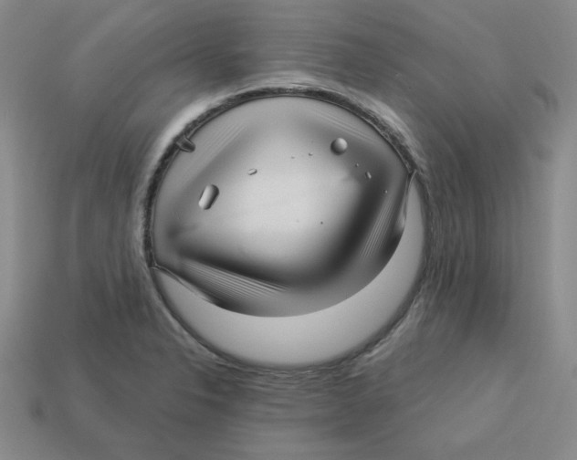 X0000113301326200910131039