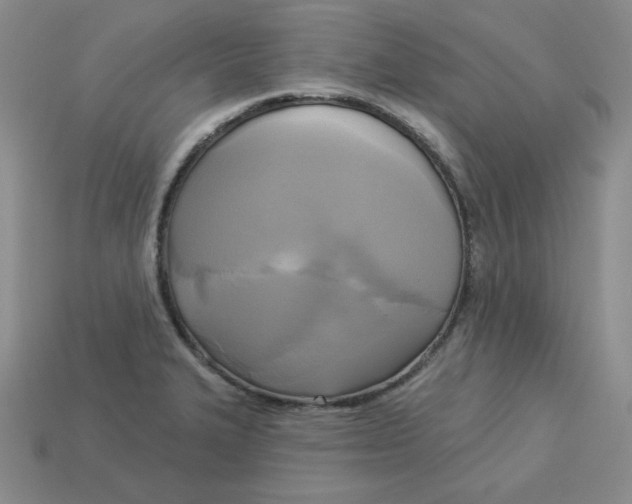 X0000113301327200910131039