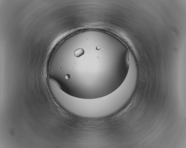 X0000113301328200910131039
