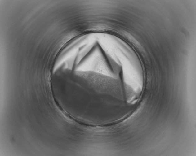 X0000113301329200910131039