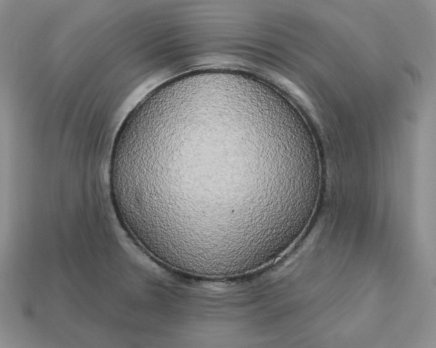 X0000113301330200910131039