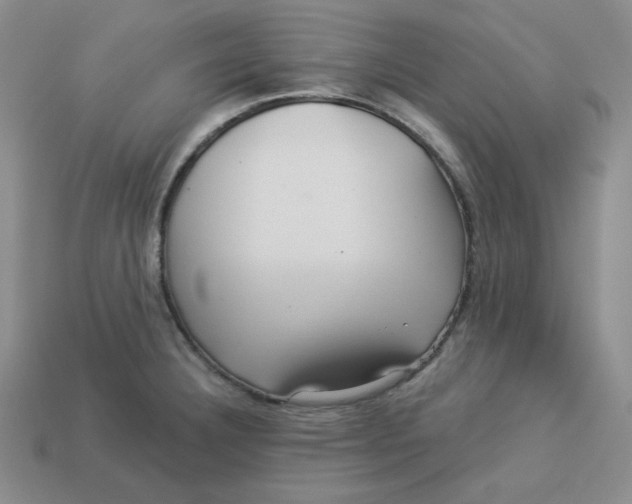 X0000113301332200910131039
