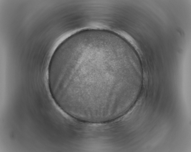 X0000113301335200910131039