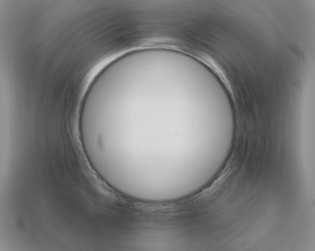 X0000113301336200910131039