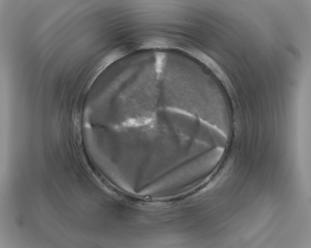 X0000113301337200910131039