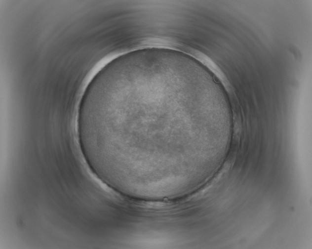 X0000113301339200910131039