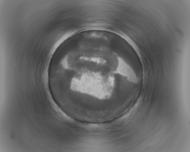 X0000113301341200910131039
