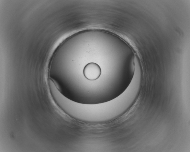 X0000113301342200910131039