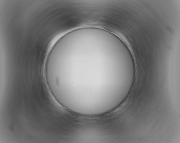 X0000113301344200910131039