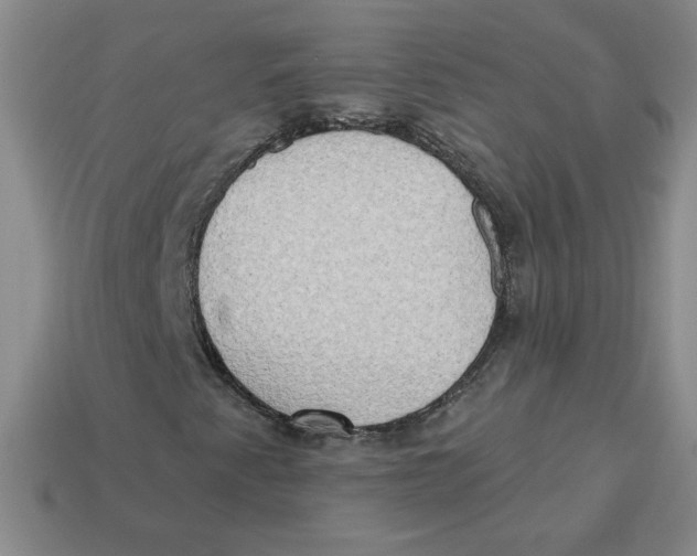 X0000113301345200910131039