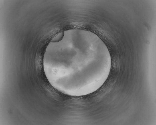 X0000113301346200910131039