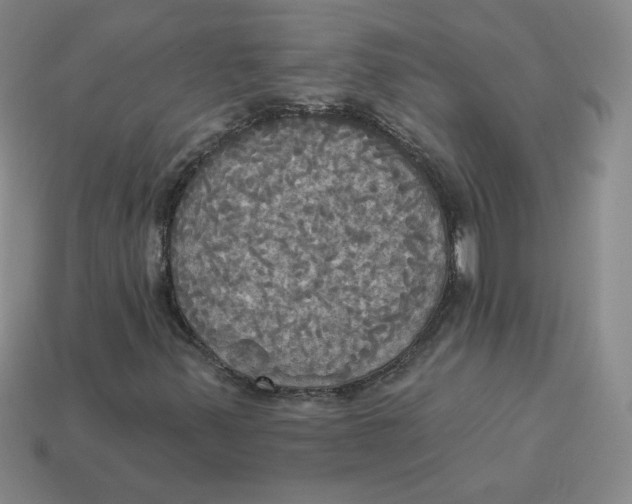 X0000113301347200910131039