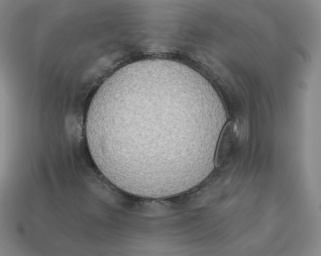 X0000113301348200910131039
