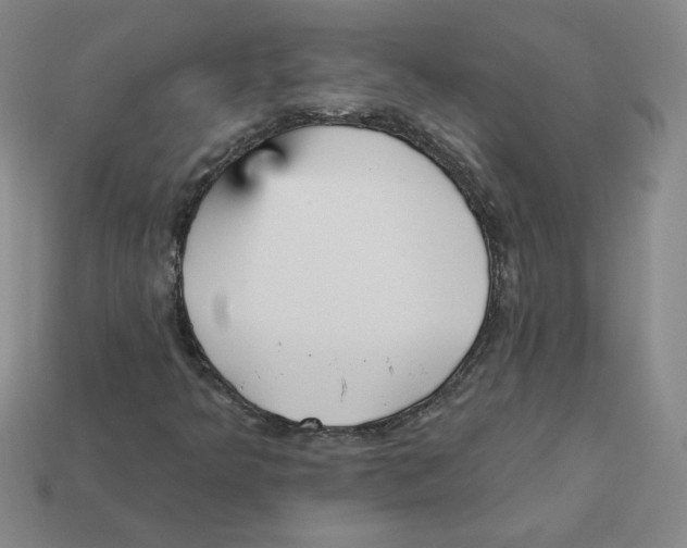 X0000113301349200910131039