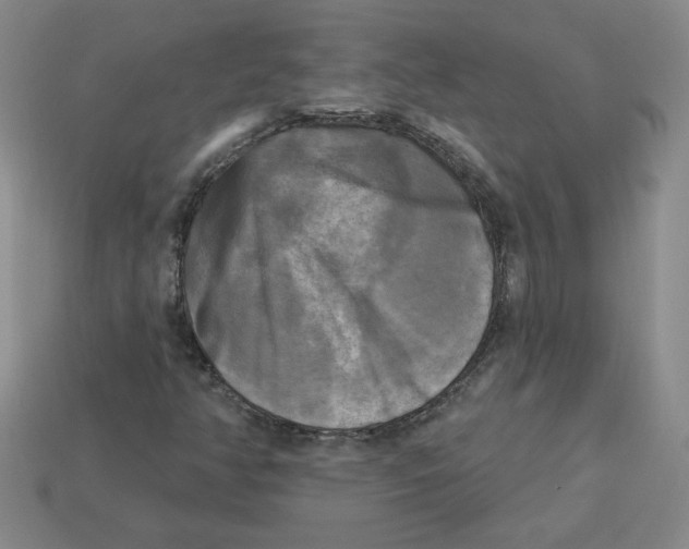 X0000113301350200910131039
