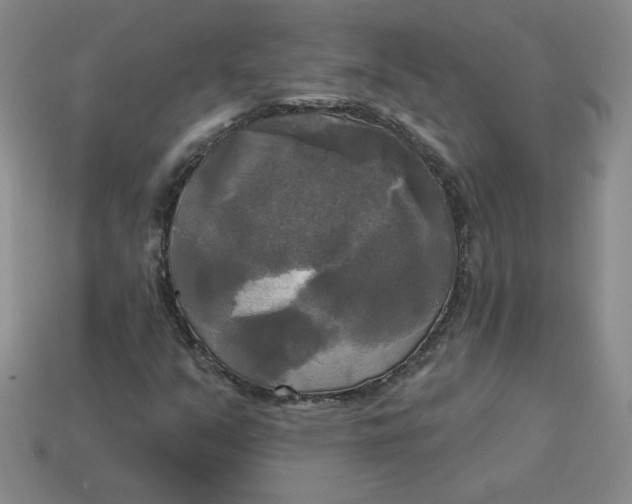 X0000113301351200910131039