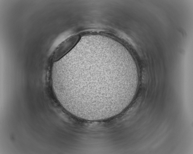 X0000113301352200910131039
