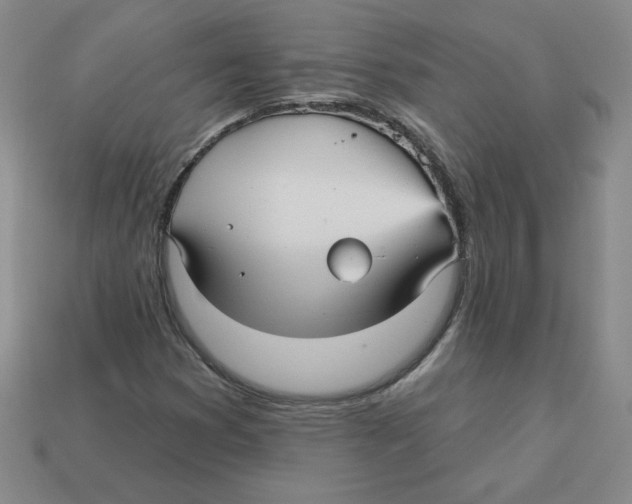 X0000113301353200910131039