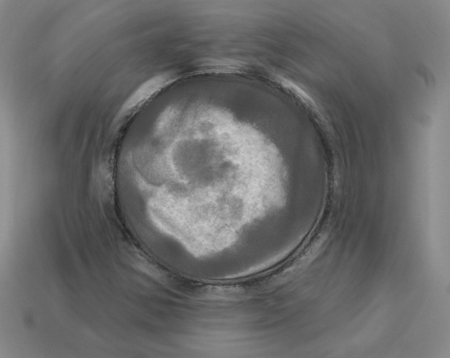 X0000113301354200910131039