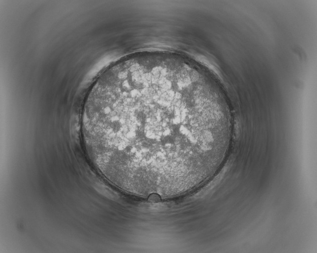 X0000113301355200910131039