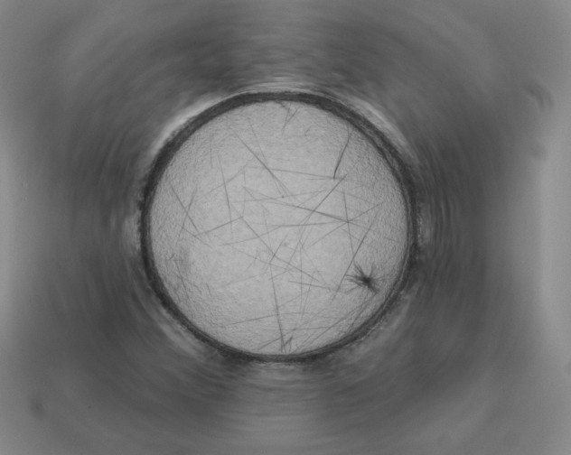 X0000113301356200910131039