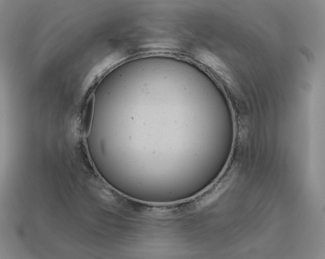 X0000113301357200910131039