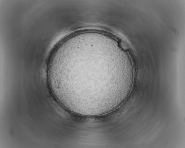 X0000113301360200910131039
