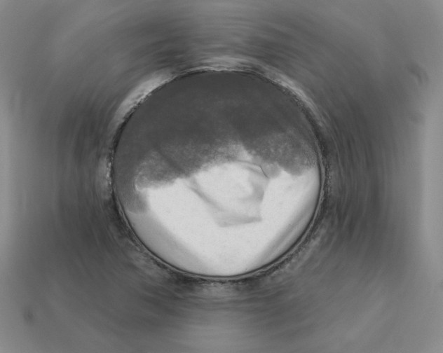 X0000113301362200910131038