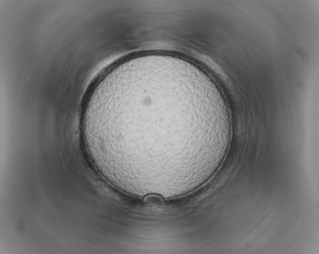 X0000113301364200910131038