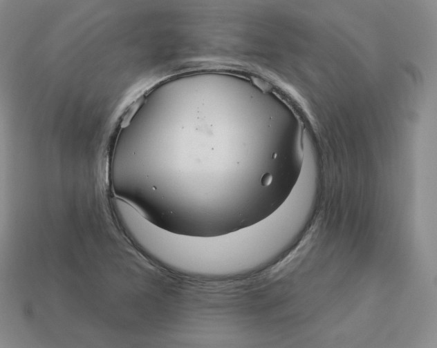X0000113301365200910131038