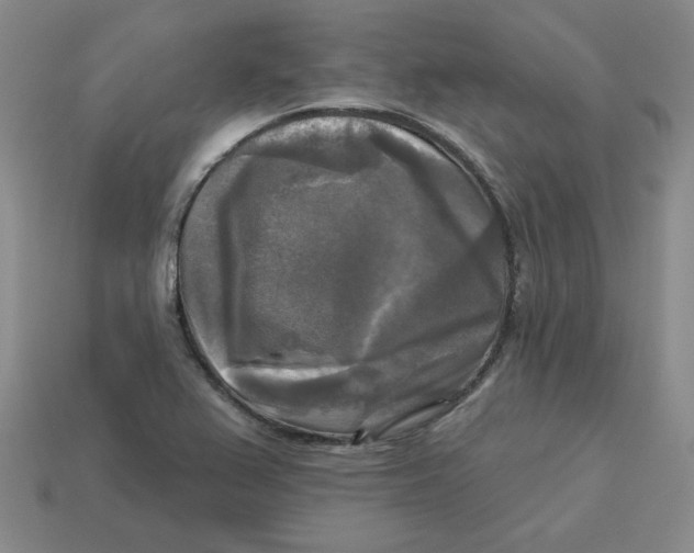 X0000113301367200910131038
