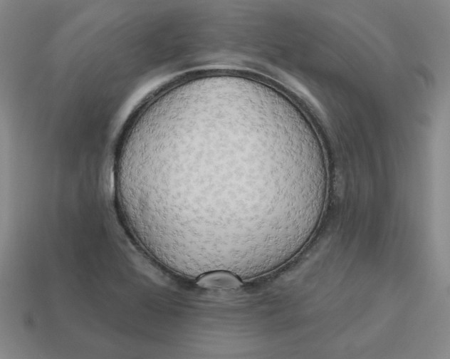 X0000113301368200910131038