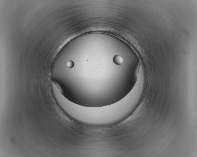 X0000113301369200910131038