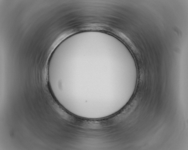 X0000113301370200910131038