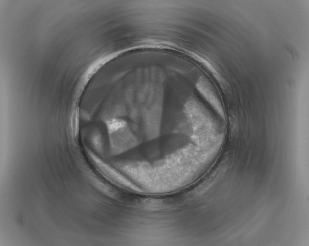 X0000113301371200910131038