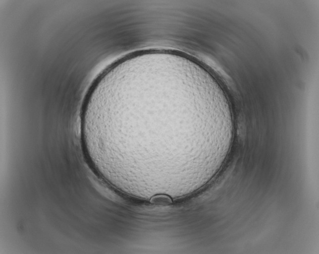 X0000113301372200910131038