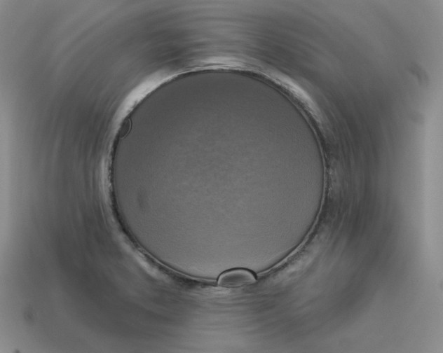 X0000113301373200910131038