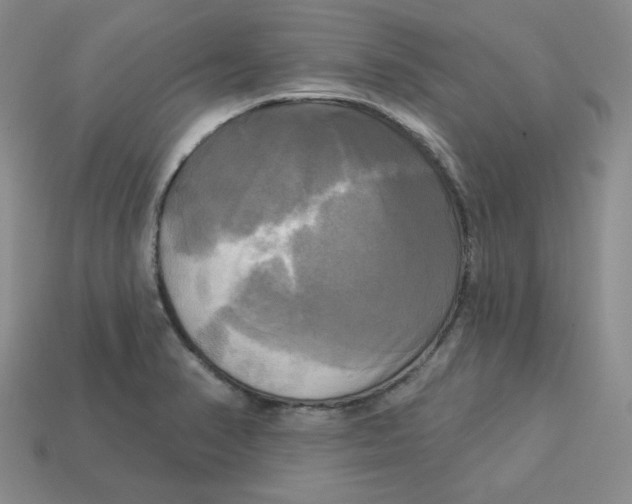 X0000113301374200910131038