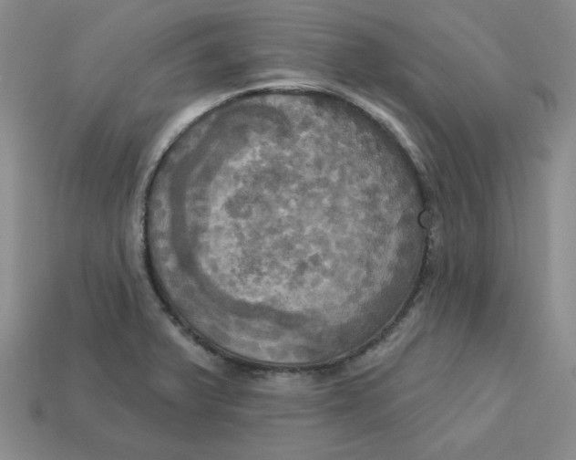 X0000113301375200910131038