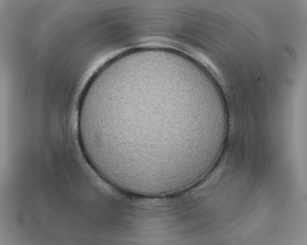 X0000113301376200910131038
