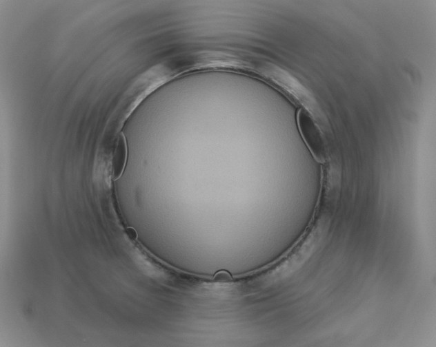 X0000113301377200910131038