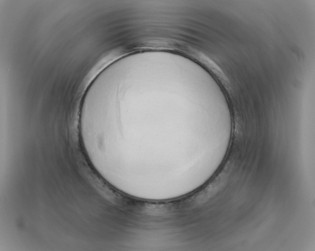 X0000113301378200910131038