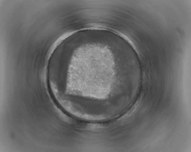 X0000113301379200910131038