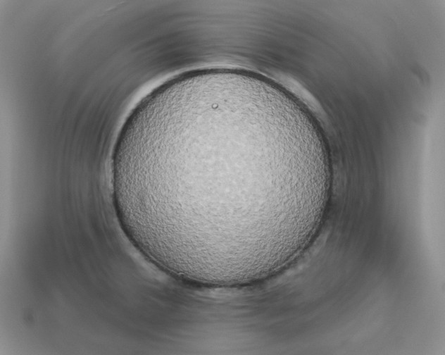 X0000113301380200910131038