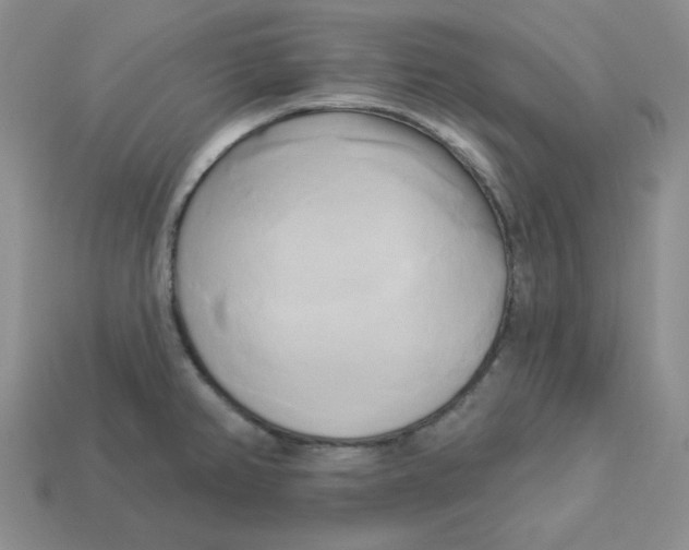X0000113301382200910131038