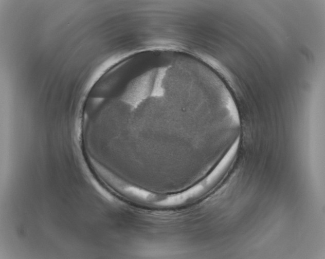 X0000113301383200910131038