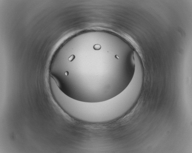 X0000113301384200910131038